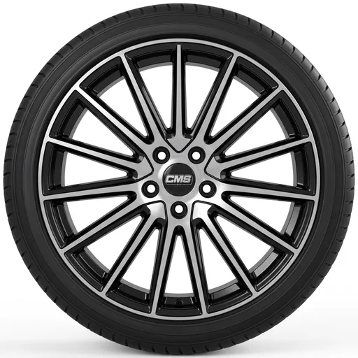 CMS C23