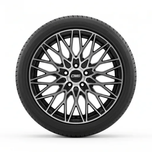 CMS C30