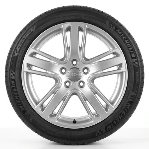 Audi 5 Segment Spoke Design