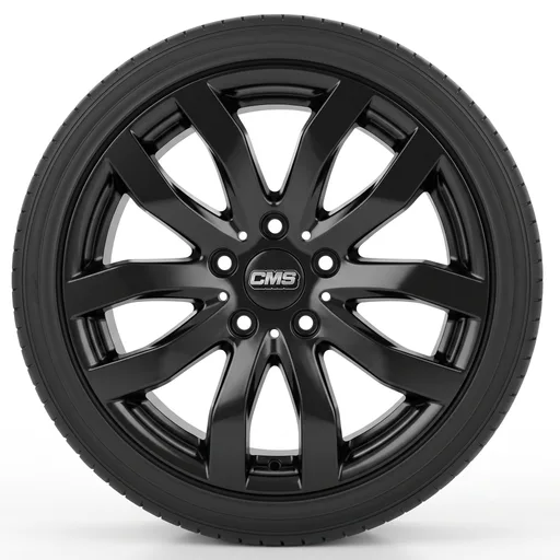 CMS C22