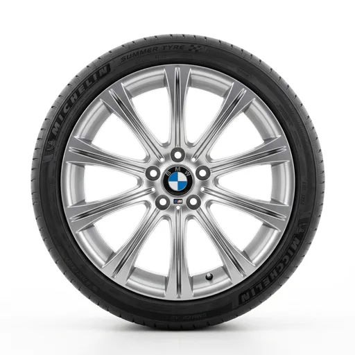 BMW Style 166 M Radial Spoke